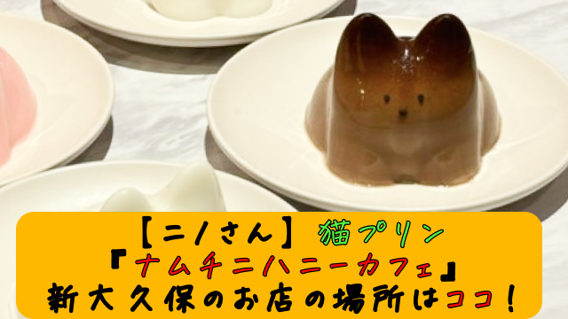 ナムチニハニーカフェの猫プリン